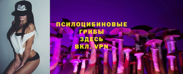 mdpv Армянск