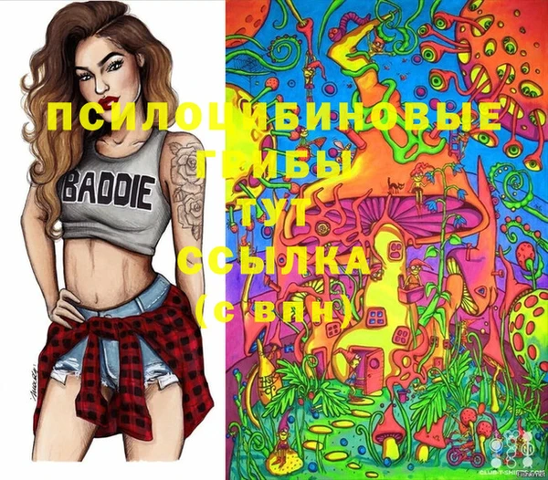 молекула духа Семёнов