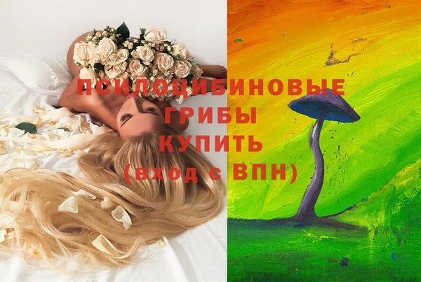 соль ск Арсеньев