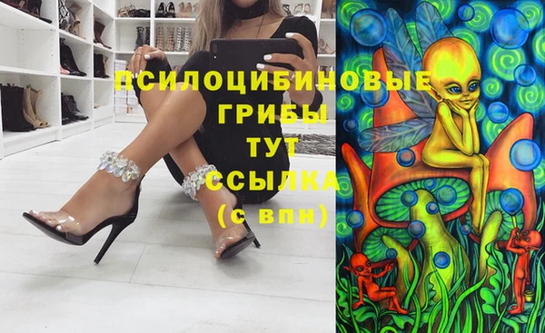 винт Аркадак