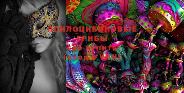 винт Аркадак